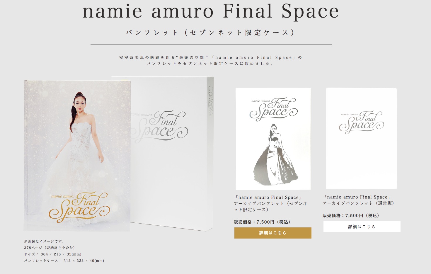 安室奈美恵❤︎ファイナルスペース　アーカイブパンフレット セブンネット限定